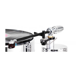 Acoustic Solid WTB 213 9“