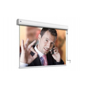 Adeo Professional Vision White 263x197, формат экрана 4:3