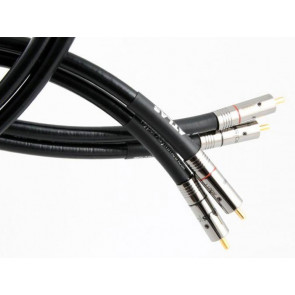 Atlas Hyper Asymmetrical (RCA-RCA) 0.75m