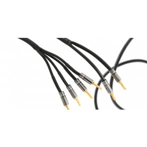 Atlas Hyper Bi-wire, в бухте 50 м