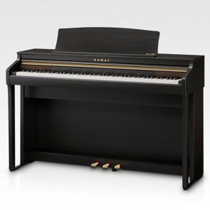 Kawai CA48RW