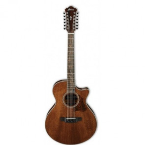 Электроакустическая гитара Ibanez AE2412 NT