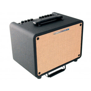 Комбоусилитель для акустической гитары Ibanez T30