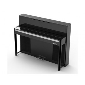 Kurzweil CUP-2A BP