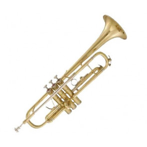 Труба Maxtone TTC60L2 (TTC234L)