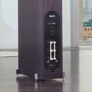 Напольная акустика PMC Fact 12 Graphite Poplar