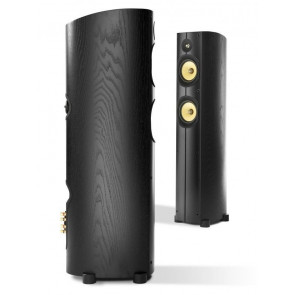 Напольная акустика PSB IMAGINE T