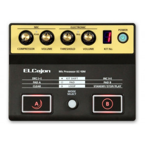 Roland EC10M