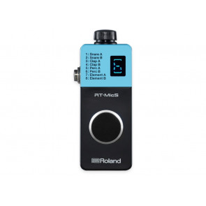Roland RTMICS