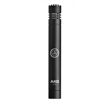 Инструментальный микрофон AKG Perception P170