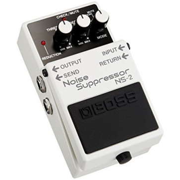 Boss NS2