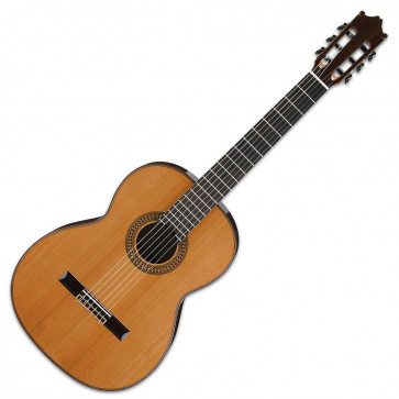 Акустическая гитара Ibanez G500 NT