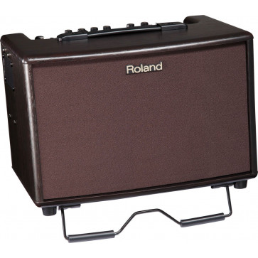 Roland AC60RW