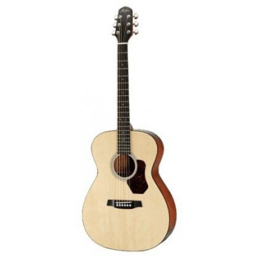 Акустическая гитара Walden HO420/PK