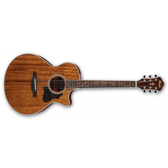 Электроакустическая гитара Ibanez AE245 NT