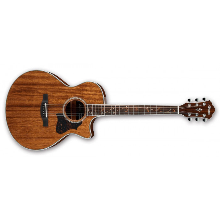 Электроакустическая гитара Ibanez AE245 NT