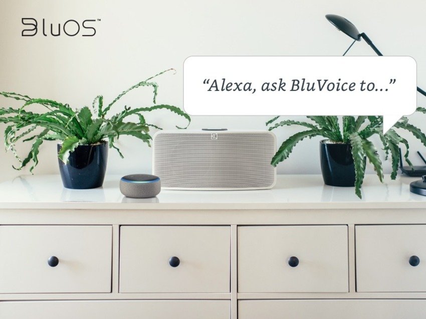 Amazon Alexa теперь в Bluesound, NAD и DALI