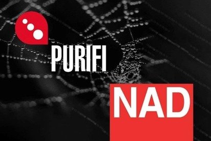 Новинка от NAD Electronics – усилители нового поколения на схеме от Purifi Audio