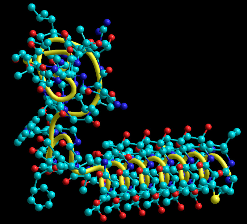 Молекулярный состав белка. Белки протеины структура. Структура молекула белка модель. Белки молекулы. Белковая молекула.
